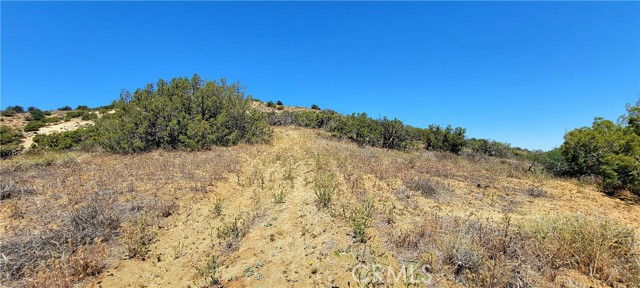 MLS #SR24027628 image #13