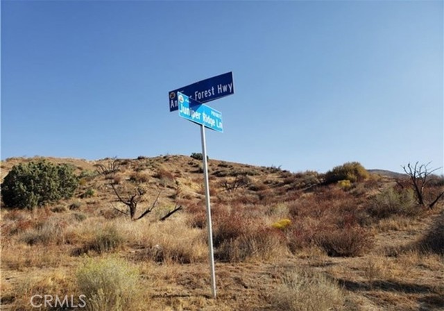 MLS #SR24027628 image #2