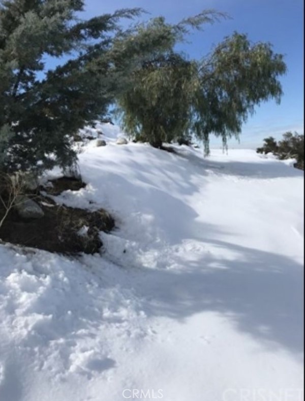 MLS #SR24027628 image #3