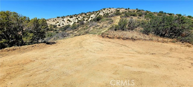 MLS #SR24027628 image #6