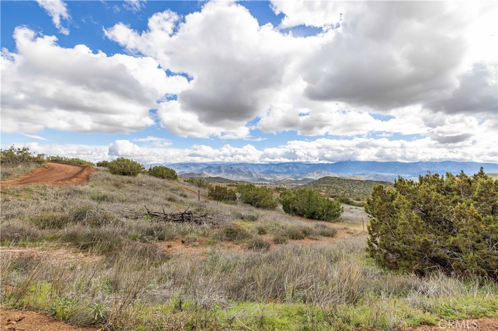 MLS #SR24035898 image #6