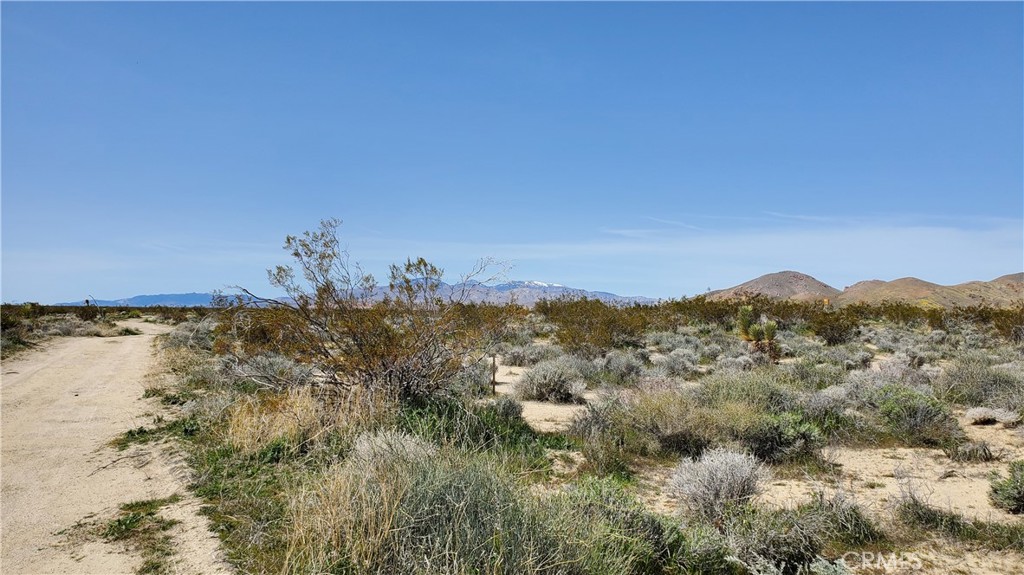 MLS #SR24049521 image #1