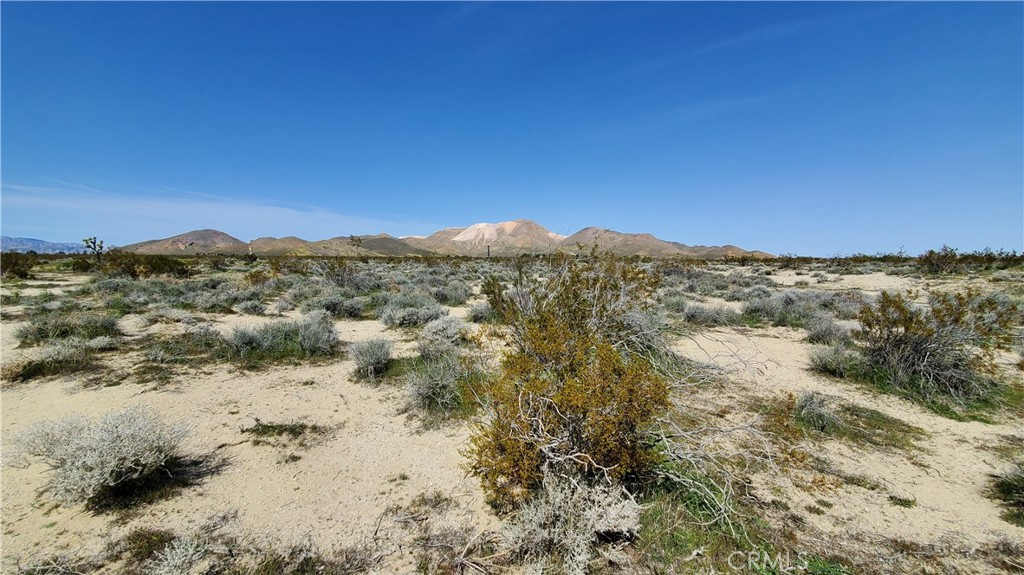 MLS #SR24049521 image #10