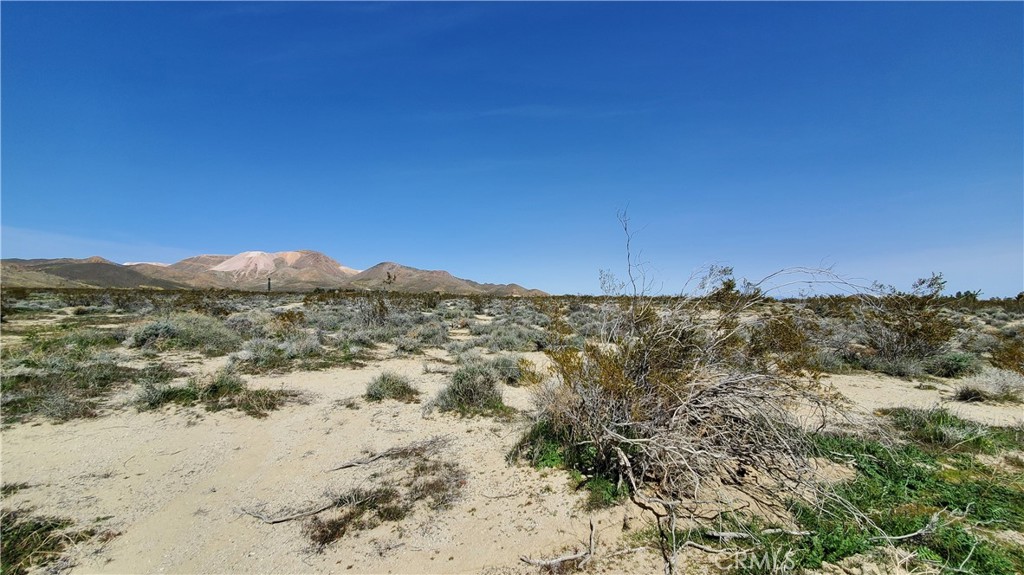 MLS #SR24049521 image #11