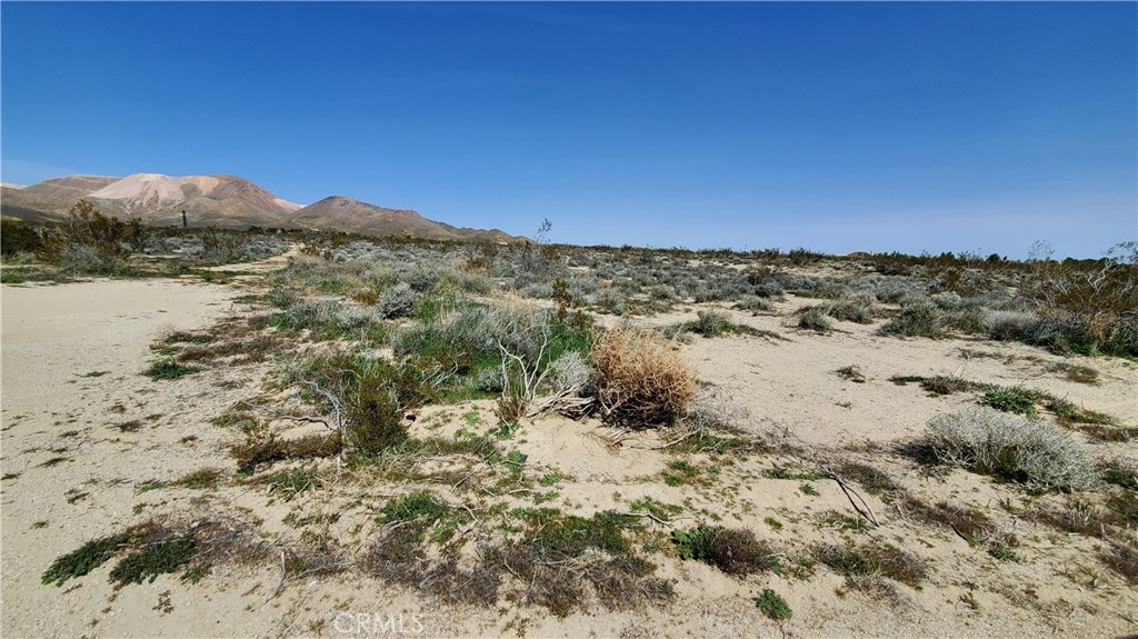 MLS #SR24049521 image #12