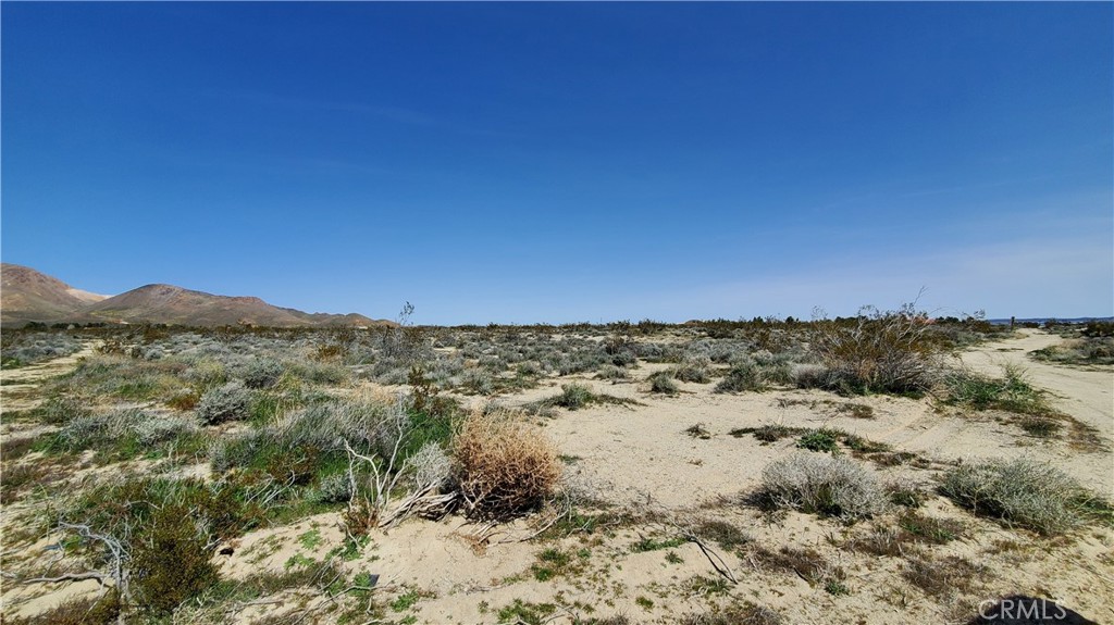 MLS #SR24049521 image #13