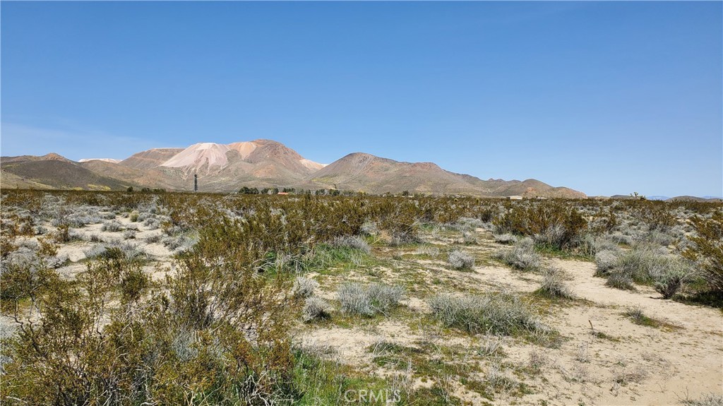 MLS #SR24049521 image #16