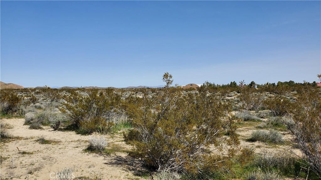 MLS #SR24049521 image #17