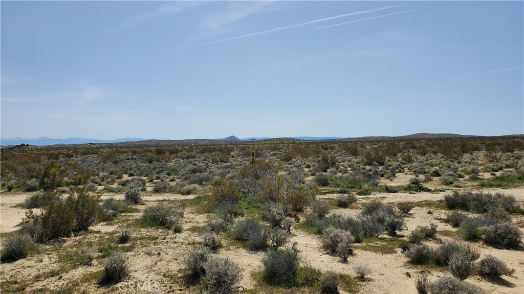 MLS #SR24049521 image #21