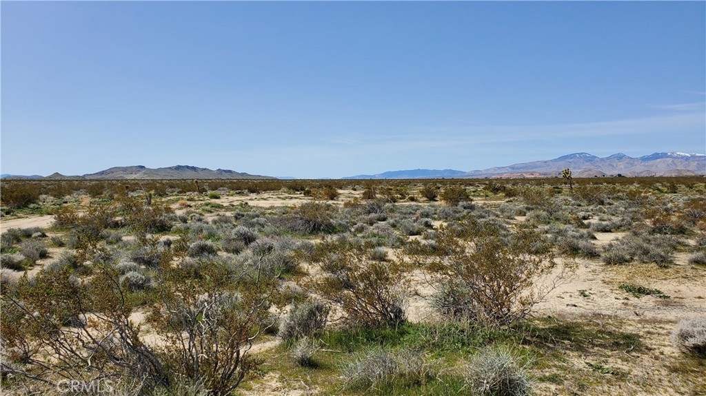 MLS #SR24049521 image #22