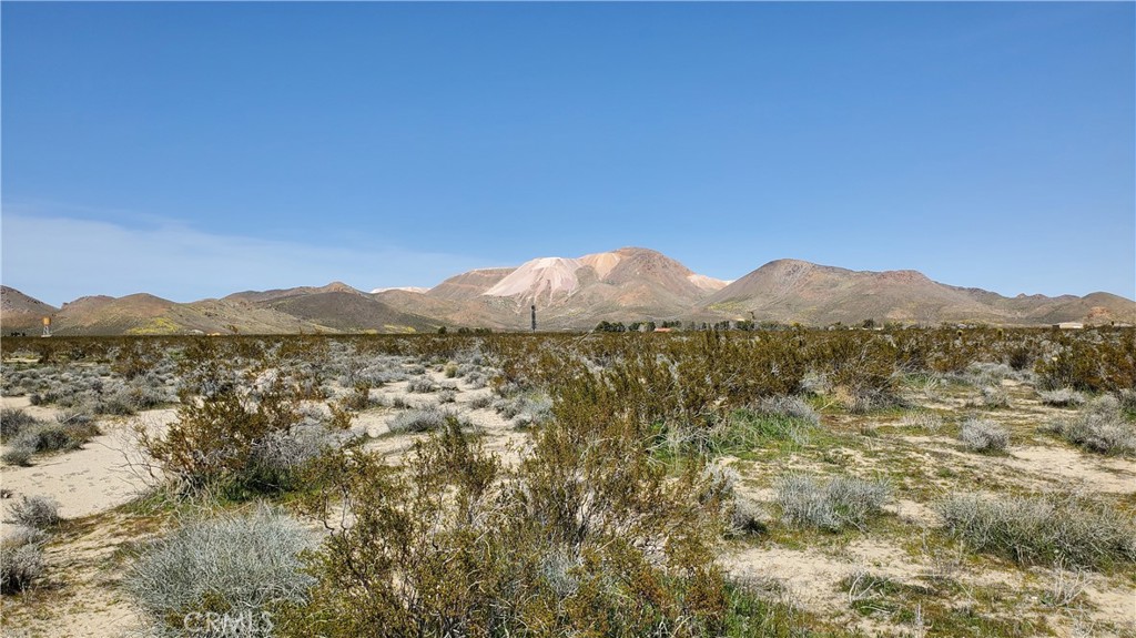 MLS #SR24049521 image #25