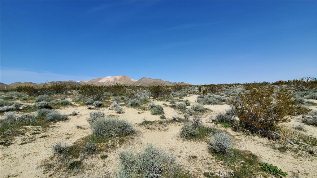 MLS #SR24049521 image #3