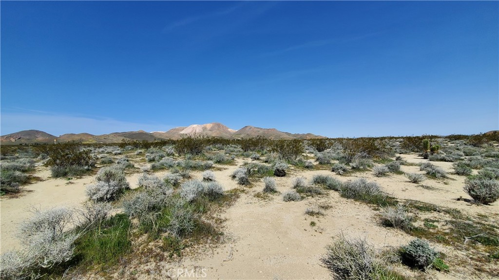 MLS #SR24049521 image #4