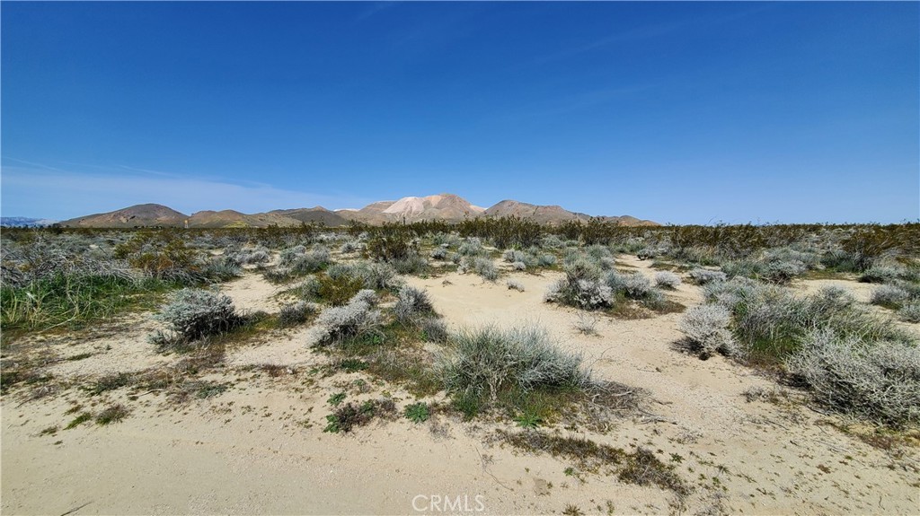 MLS #SR24049521 image #5