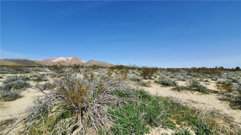 MLS #SR24049521 image #6