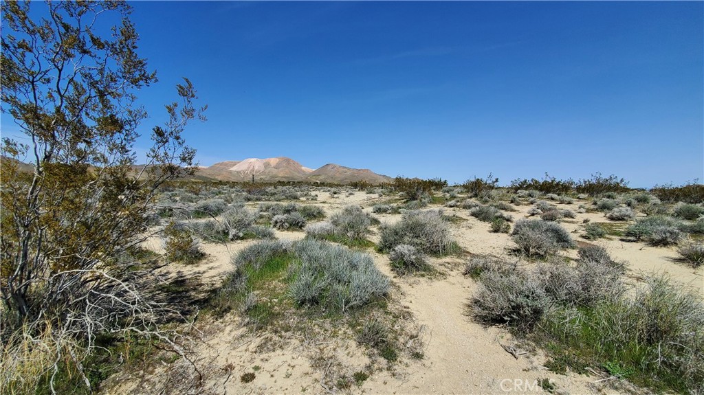 MLS #SR24049521 image #8