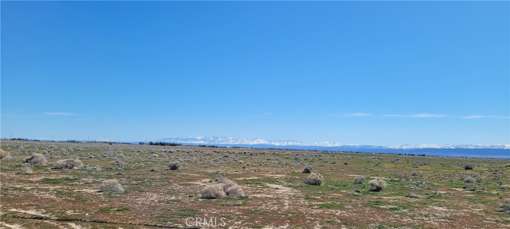 MLS #SR24062010 image #1