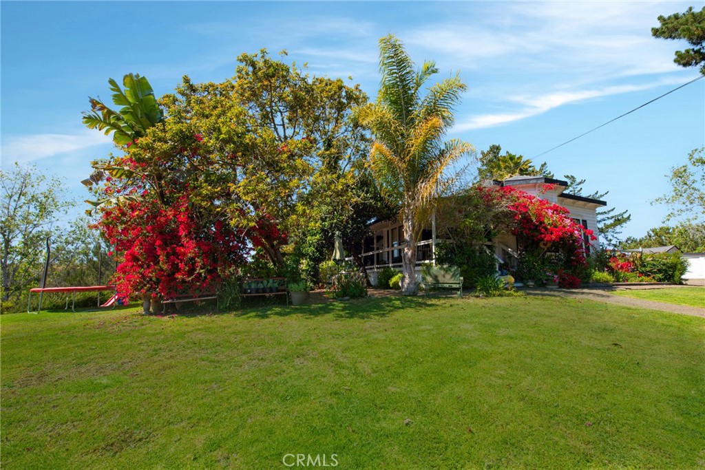 MLS #SR24064840 image #10