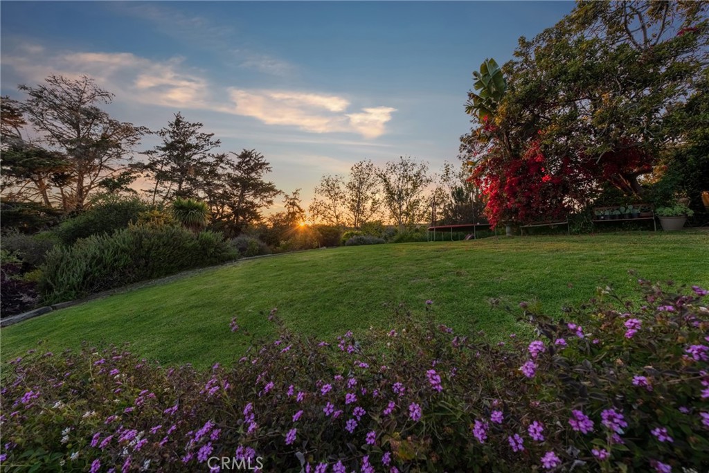 MLS #SR24064840 image #12