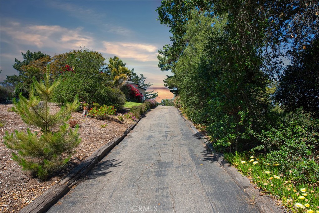 MLS #SR24064840 image #13