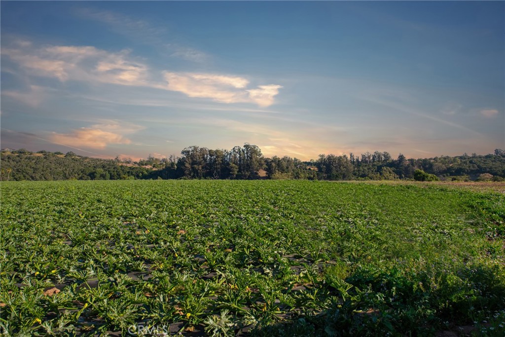 MLS #SR24064840 image #18