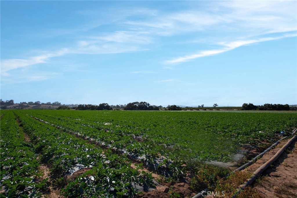 MLS #SR24064840 image #27