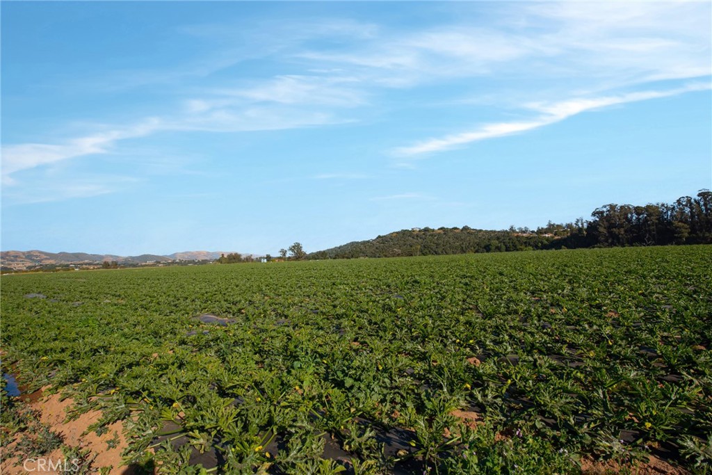 MLS #SR24064840 image #29