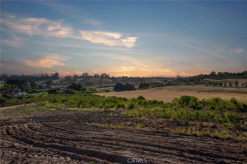 MLS #SR24064840 image #46