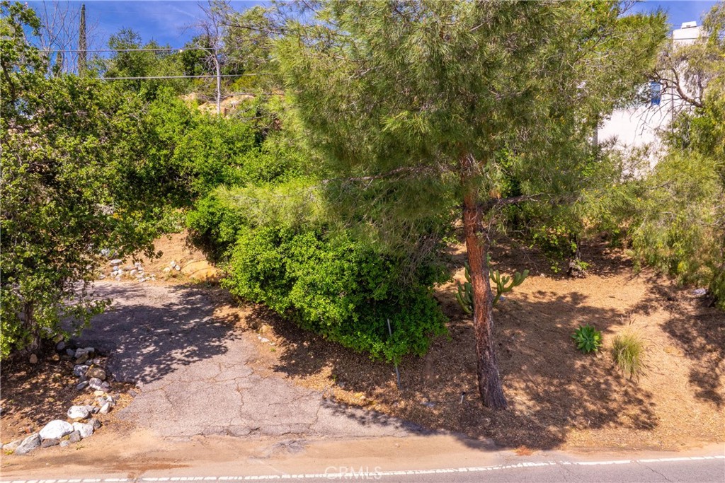 MLS #SR24081879 image #13