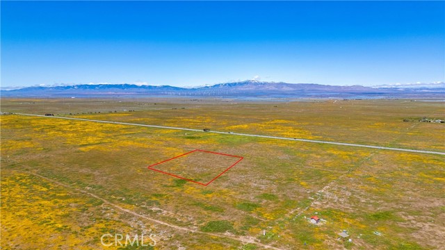 MLS #SR24085213 image #4