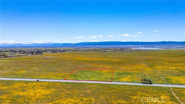 MLS #SR24085213 image #5