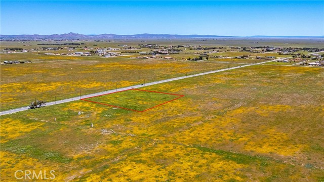 MLS #SR24085213 image #9