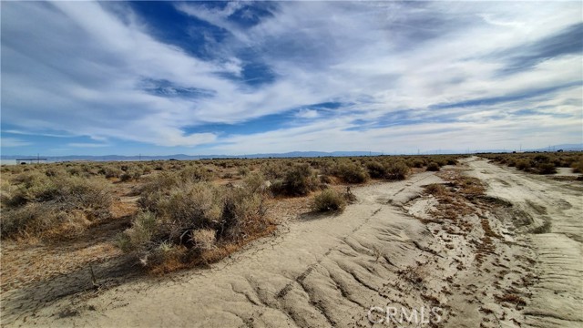 MLS #SR24091095 image #13