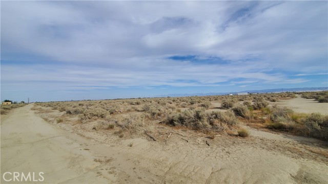 MLS #SR24091095 image #4