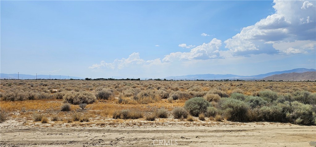 MLS #SR24099468 image #2