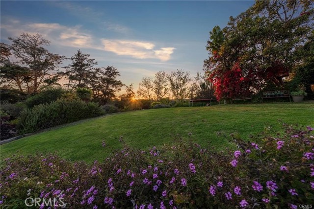 MLS #SR24102545 image #12