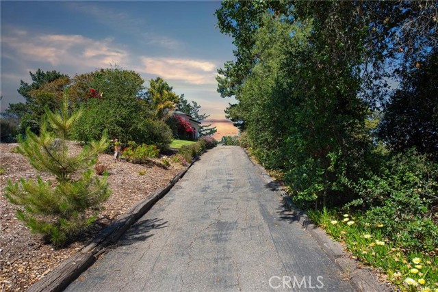 MLS #SR24102545 image #13