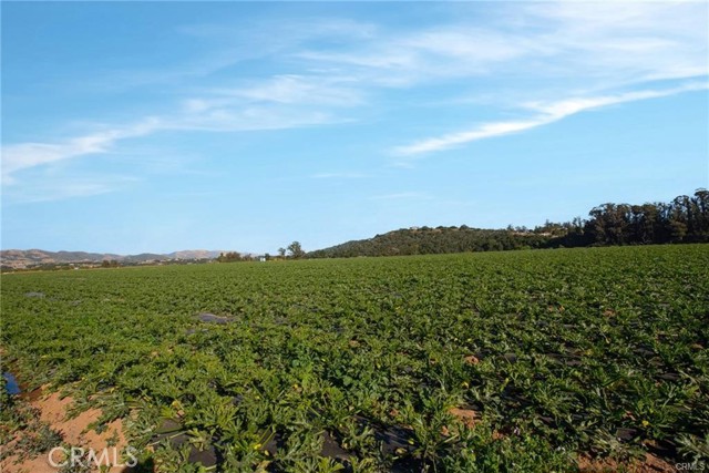 MLS #SR24102545 image #29