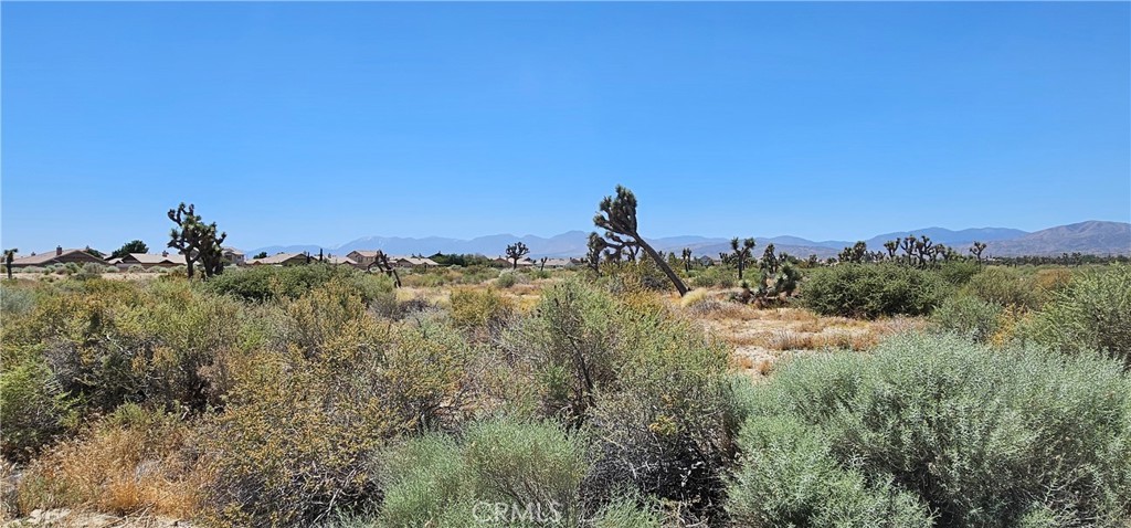 MLS #SR24108604 image #11