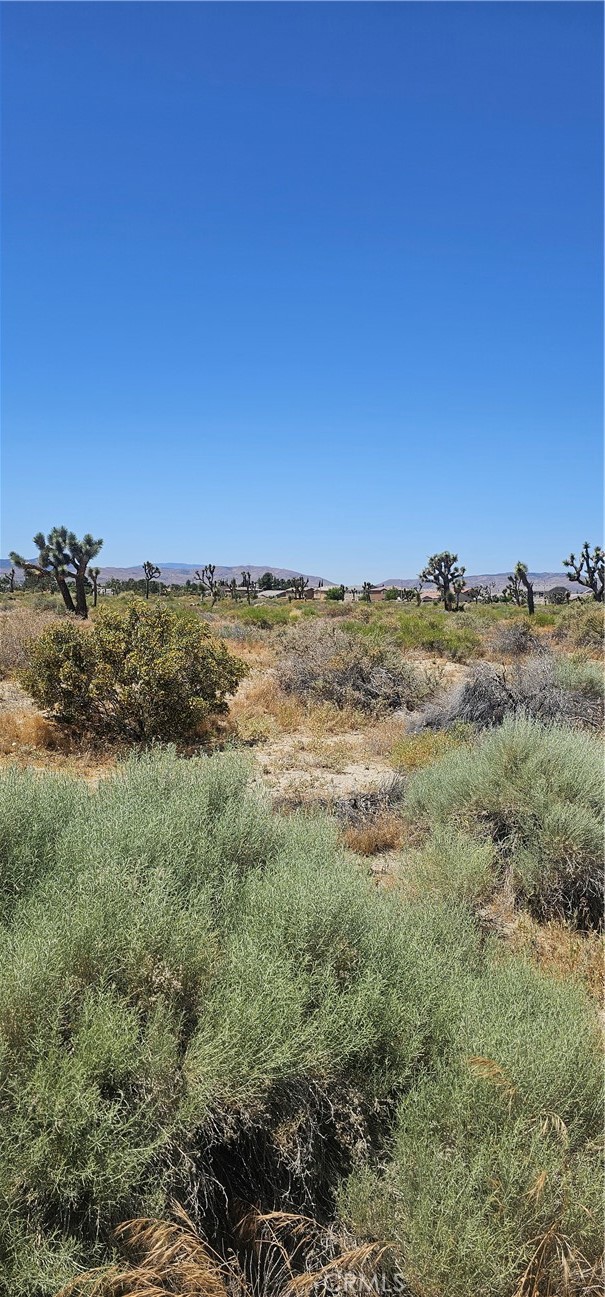 MLS #SR24108604 image #2