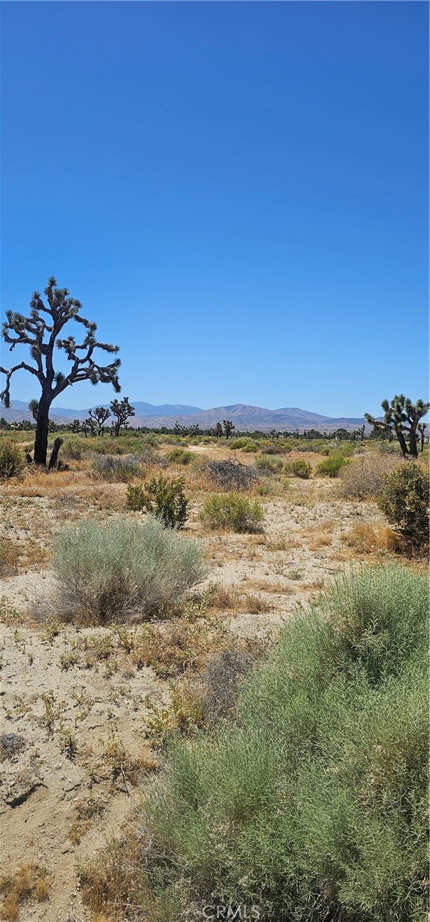 MLS #SR24108604 image #3