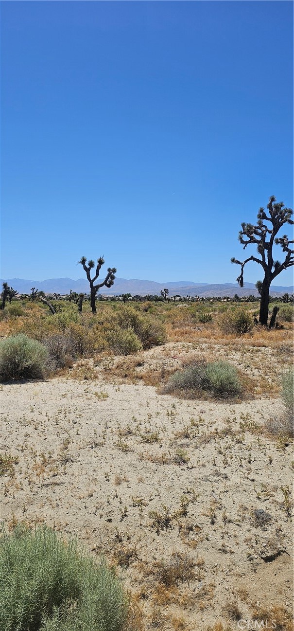 MLS #SR24108604 image #4