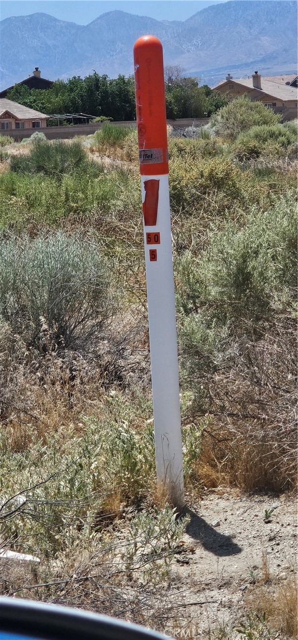 MLS #SR24108604 image #6