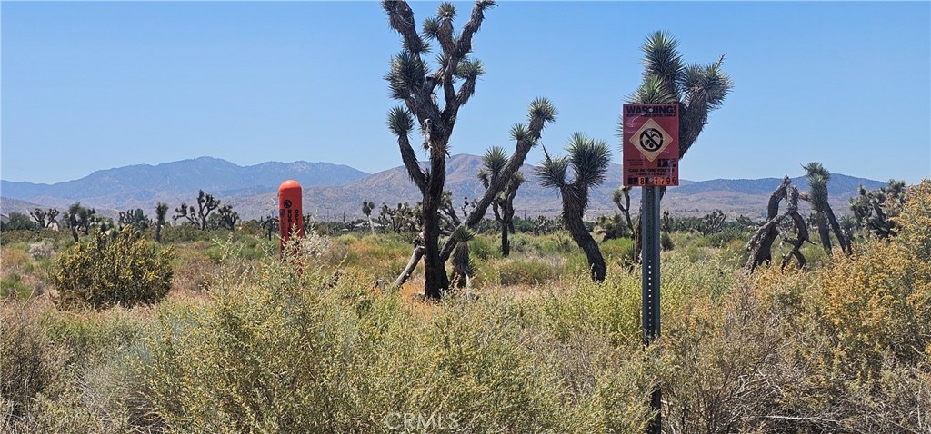 MLS #SR24108604 image #7