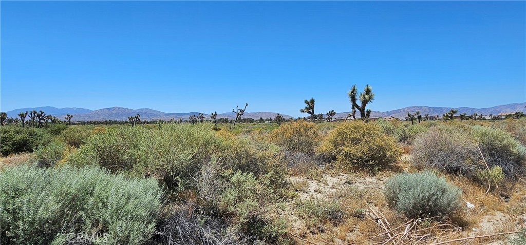 MLS #SR24108604 image #9