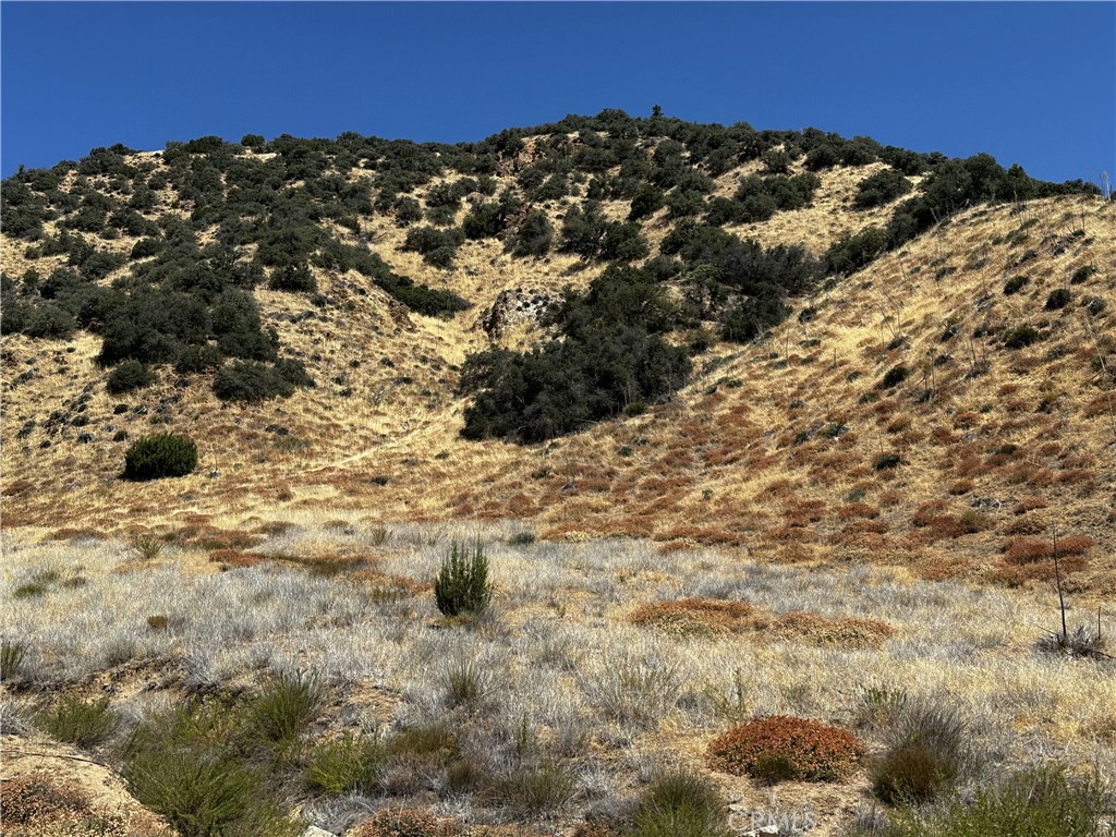 MLS #SR24153693 image #8