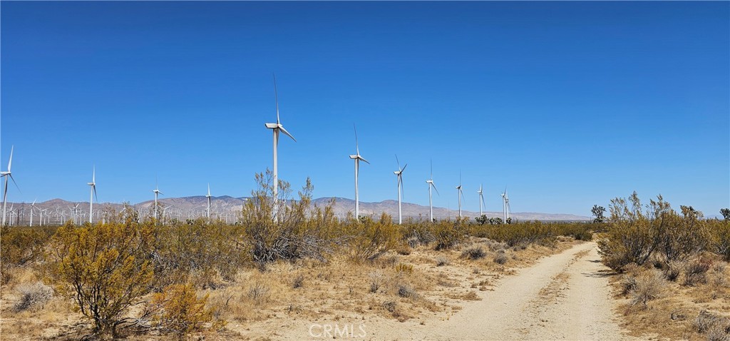 MLS #SR24176790 image #1