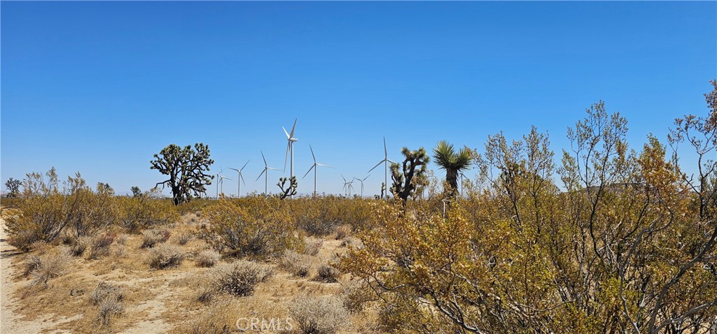 MLS #SR24176790 image #3