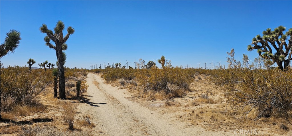 MLS #SR24176790 image #4