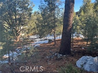 MLS #SR24180523 image #1